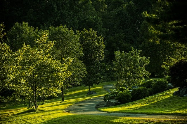 Wooded ቨርጂኒያ ግዛት ፓርክ